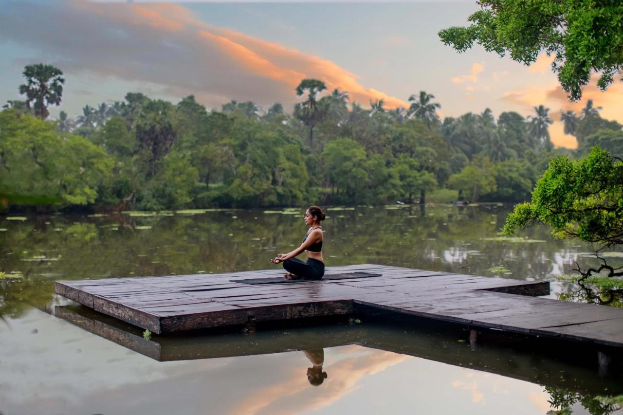 The Backwaters Lodge Wilpattu Dış mekan fotoğraf