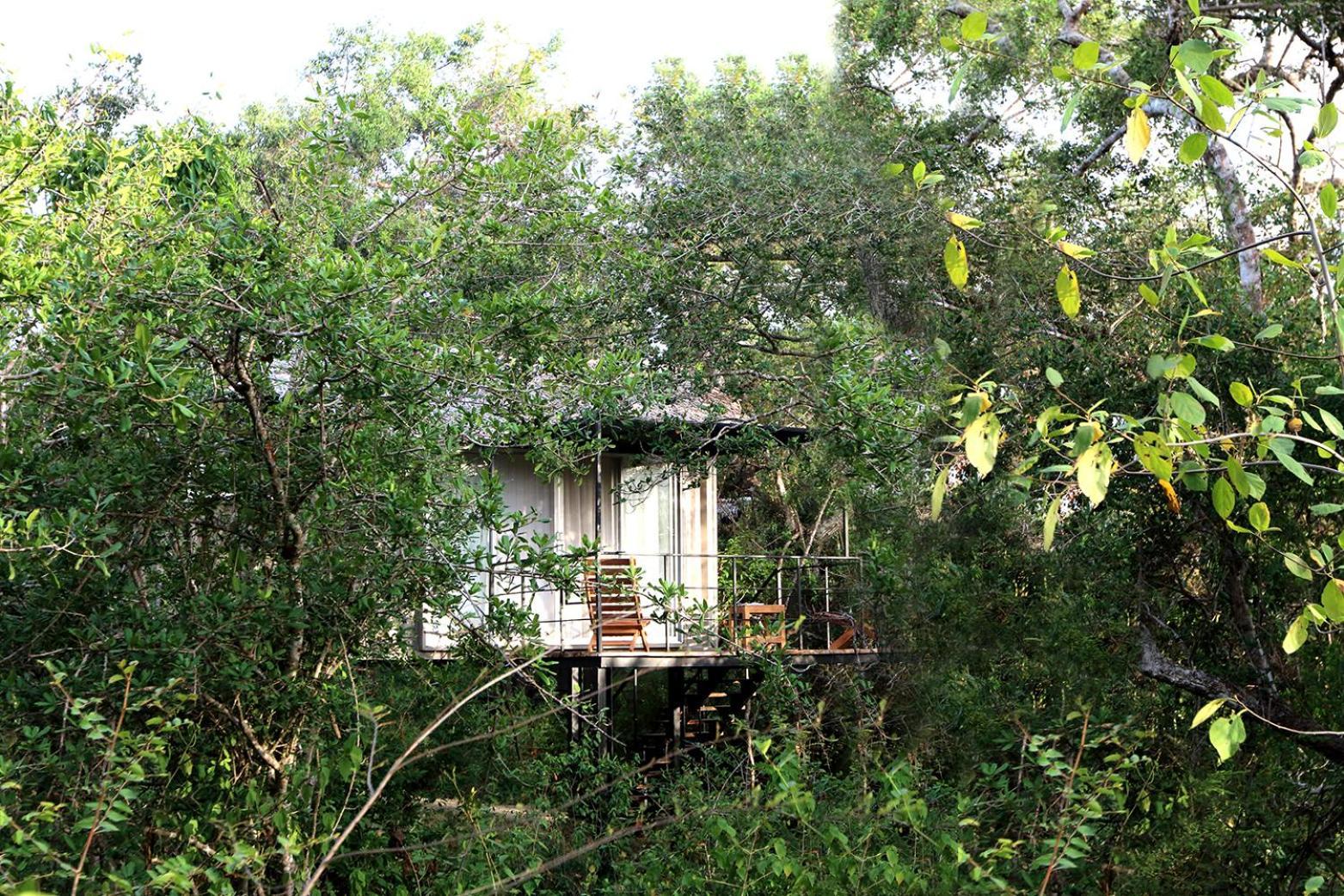 The Backwaters Lodge Wilpattu Dış mekan fotoğraf