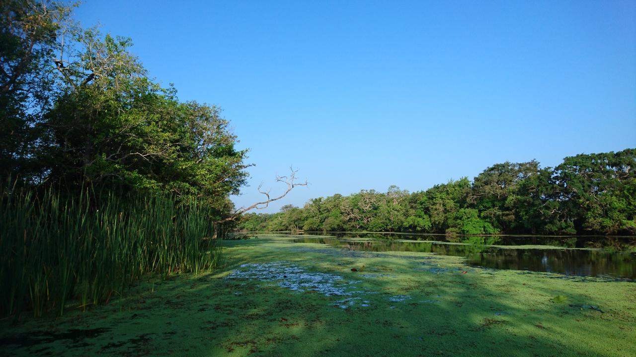 The Backwaters Lodge Wilpattu Dış mekan fotoğraf