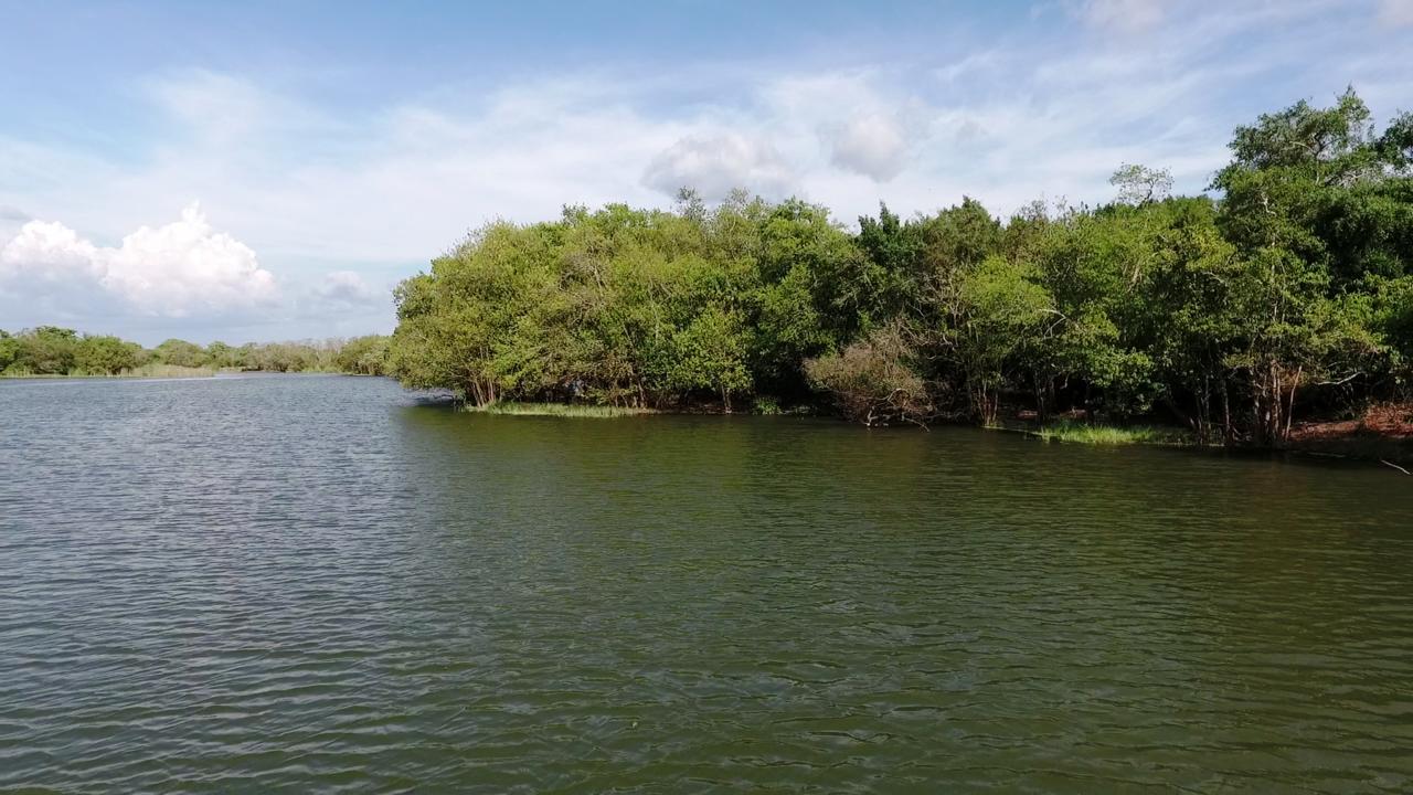 The Backwaters Lodge Wilpattu Dış mekan fotoğraf