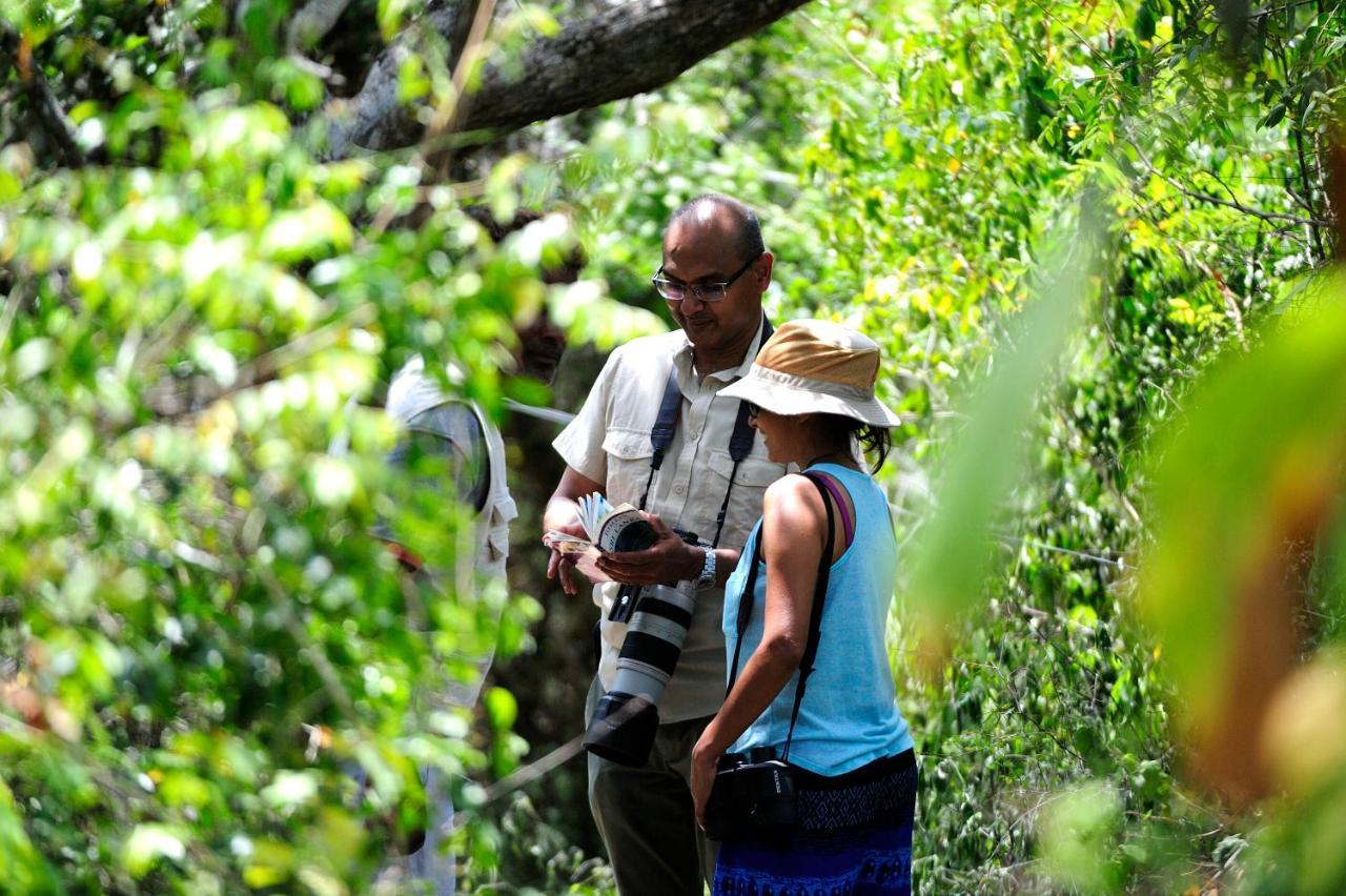 The Backwaters Lodge Wilpattu Dış mekan fotoğraf