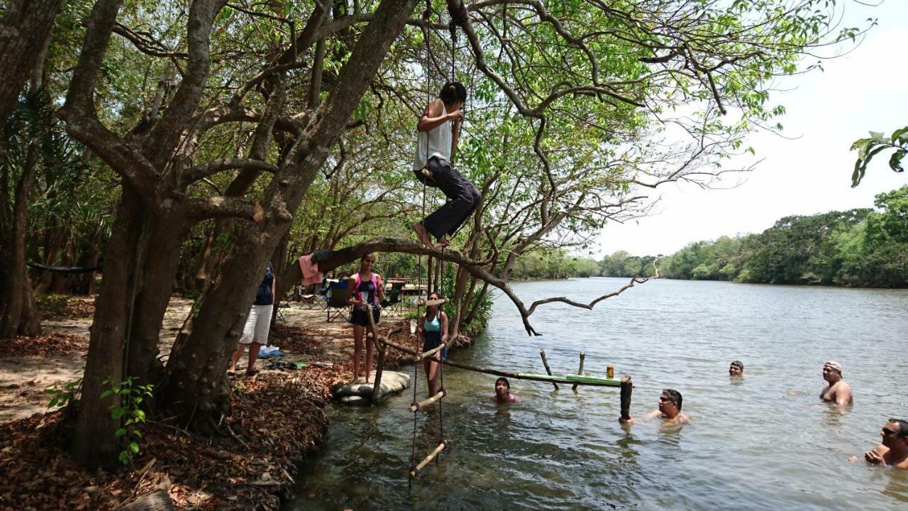 The Backwaters Lodge Wilpattu Dış mekan fotoğraf
